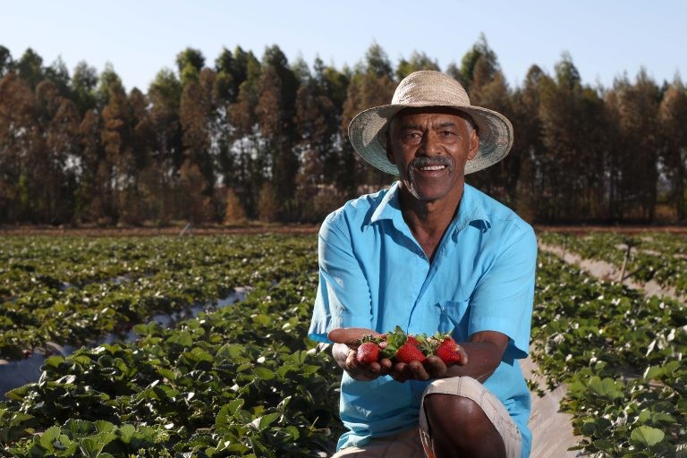 Frente quer discutir incentivos à agricultura orgânica - (Foto: André Borges/Agência Brasília)