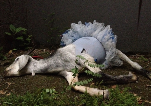 Detalhe de obra da exposição 