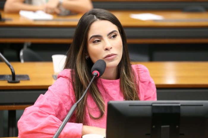 Yandra Moura recomendou a aprovação da proposta - (Foto: Billy Boss/Câmara dos Deputados)