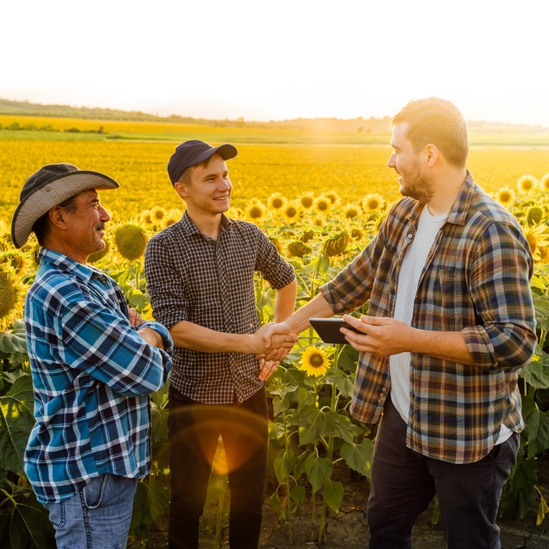 Banco de imagens - Canva pro