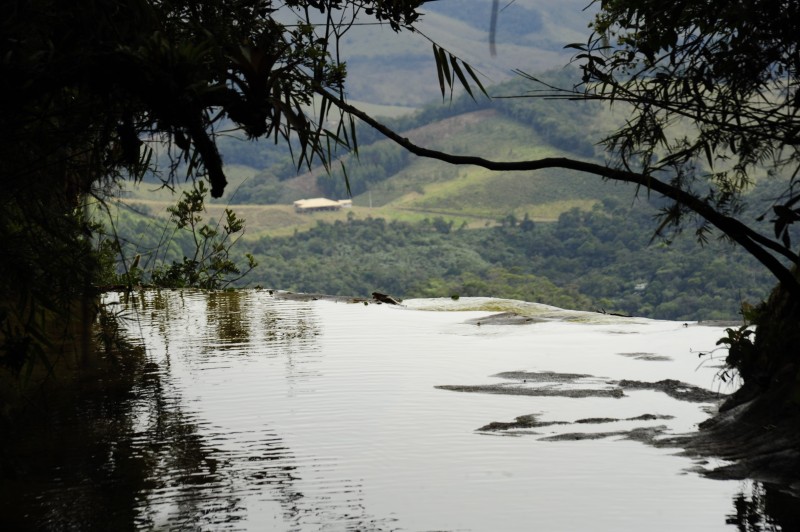Instituto Estadual de Florestas