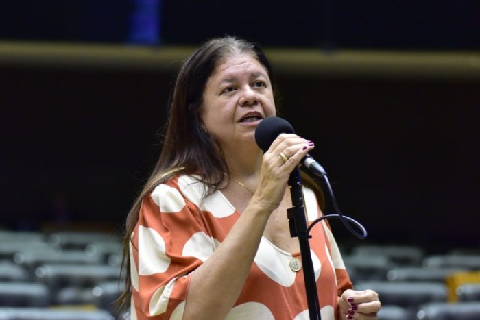 Deputada Laura Carneiro, relatora da proposta - (Foto: Zeca Ribeiro / Câmara dos Deputados)