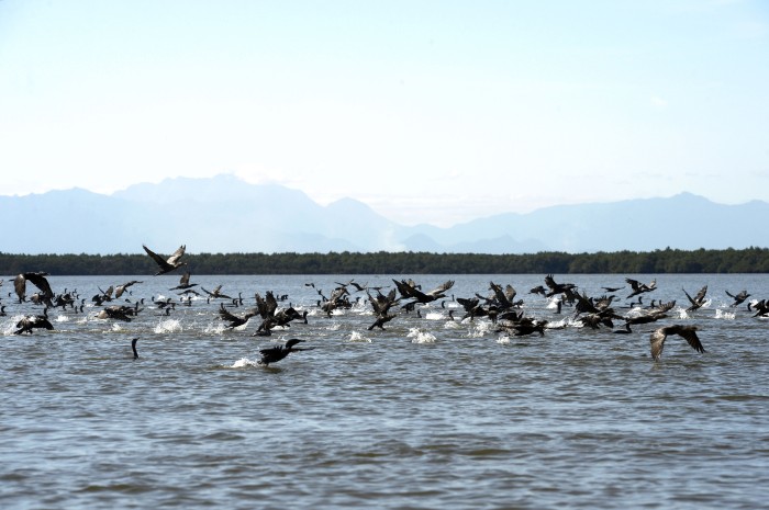 © Tânia Rêgo/Agência Brasil