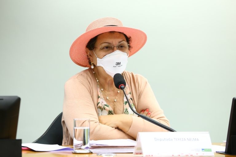 Tereza Nelma: Brasil tem menos mulheres no Parlamento que o Afeganistão - (Foto: Najara Araujo/Câmara dos Deputados)