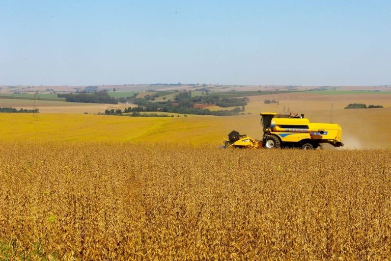 Em 40 anos, a Embrapa ajudou o País a aumentar em 500% a produção de grãos - (Foto: Jaelson Lucas/Agência de Notícias do Paraná)