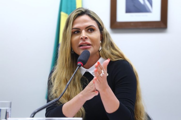 Silvye: 6,6% dos cerca de 200 mil desaparecidos têm mais de 60 anos - (Foto: Vinicius Loures/Câmara dos Deputados)