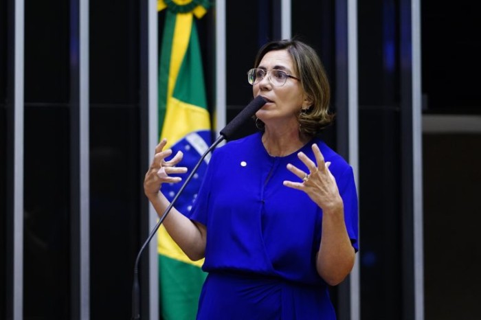 Rosana Valle é a autora do  projeto - (Foto: Pablo Valadares/Câmara dos Deputados)