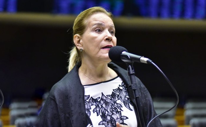 Zeca Ribeiro/Câmara dos Deputados