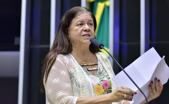 Zeca Ribeiro / Câmara dos Deputados