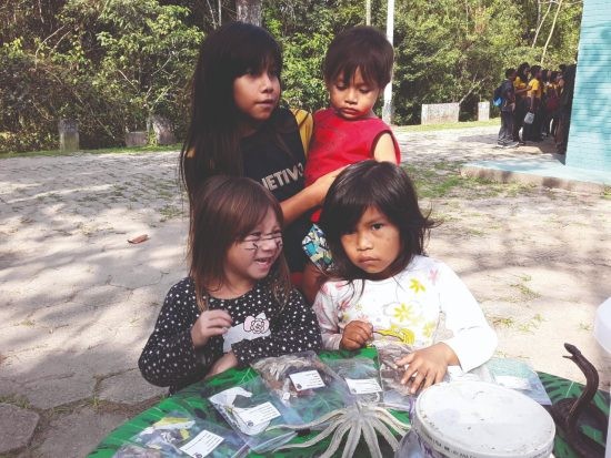 O repasse mensal é de entre R$ 1,5 mil e R$ 2,5 mil para as famílias de indígenas desenvolverem projetos