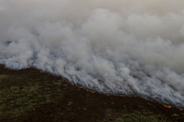 © Joédson Alves/Agência Brasil