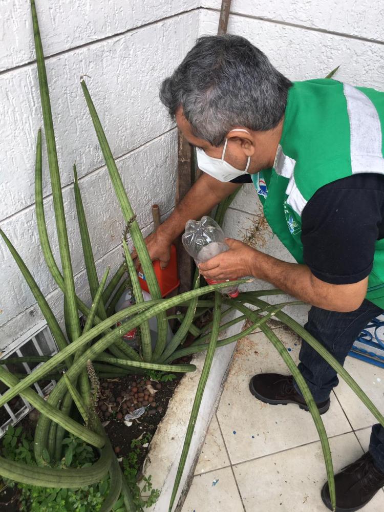 Foto: Secom Maceió 