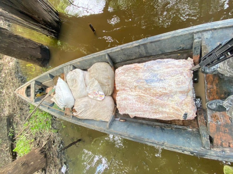 Material ilícito apreendido está avaliado em R$ 20 mil - FOTO: Divulgação/SSP-AM