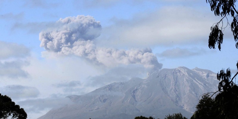 © Felipe Trueba/ Agência Lusa