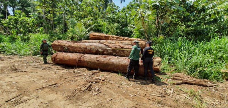 Operação Tamoiotatá, em Humaitá - Foto: Divulgação/SSP-AM
