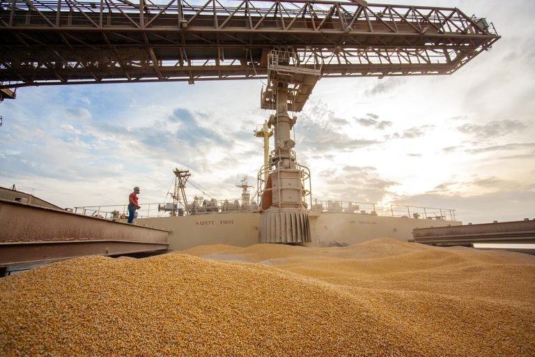 Objetivo é compensar os efeitos da baixa oferta de milho no Brasil - (Foto: Cláudio Neves/Portos do Paraná)