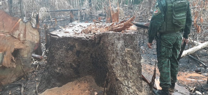 Ação ocorreu em um ramal do município de Humaitá - FOTO: Divulgação/SSP-AM