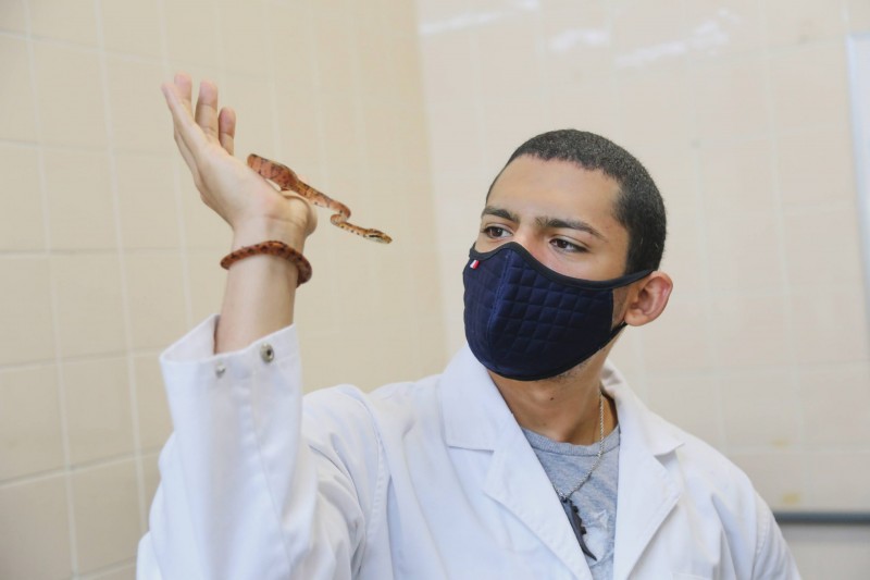 Trabalho foi intitulado “Evolução cromossômica em serpentes Neotropicais: uma abordagem comparativa” - FOTO: Érico Xavier/Fapeam