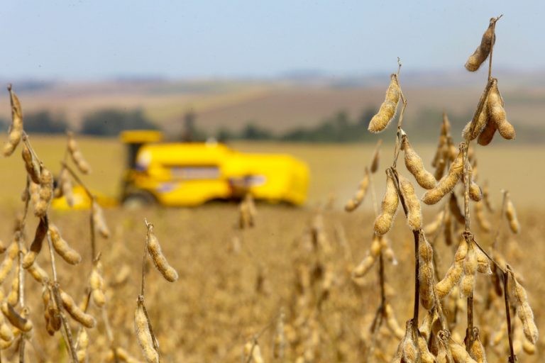 Proposta permite que produtores sejam beneficiados com créditos de descarbonização - (Foto: Jaelson Lucas/Agência de Notícias do Paraná)