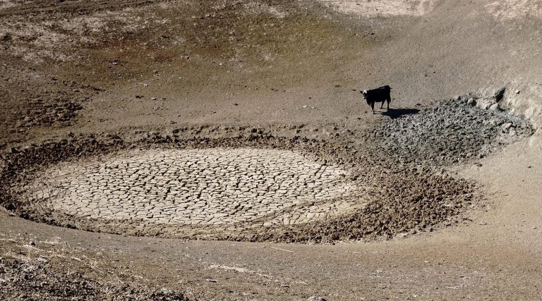 Estiagem já atinge 98 dos 184 municípios pernambucanos - (Foto: A. Duarte)
