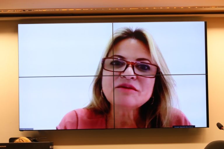 Flávia Morais: medida é importante para estimular a recuperação econômica - (Foto: Cleia Viana/Câmara dos Deputados)