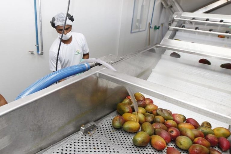Prorrogação de incentivo se aplica também à atividade agroindustrial - (Foto: Fernando Vivas/GOVBA)