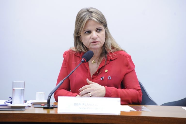 Flávia Morais afirma que a proposta trará mais segurança à população - (Foto: Cleia Viana/Câmara dos Deputados)