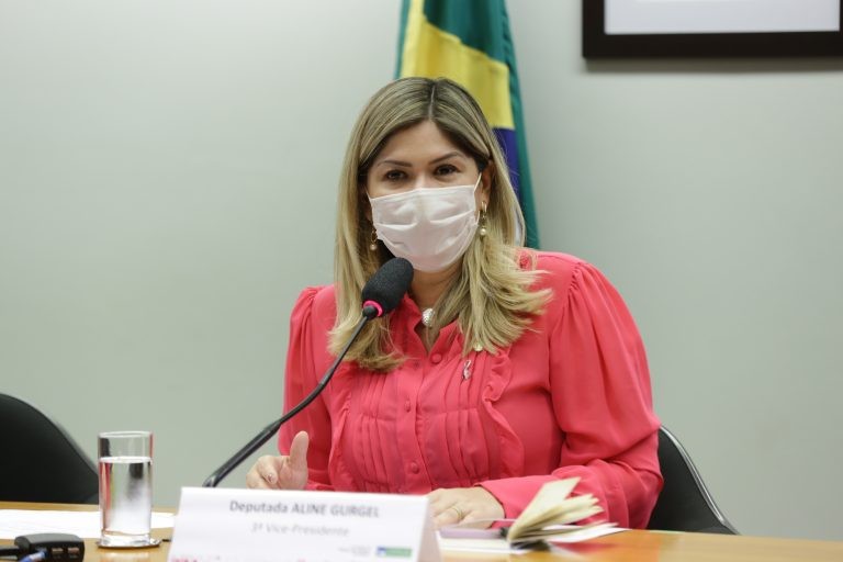 Aline Gurgel: objetivo é reduzir a violência doméstica no País - (Foto: Michel Jesus/Câmara dos Deputado)