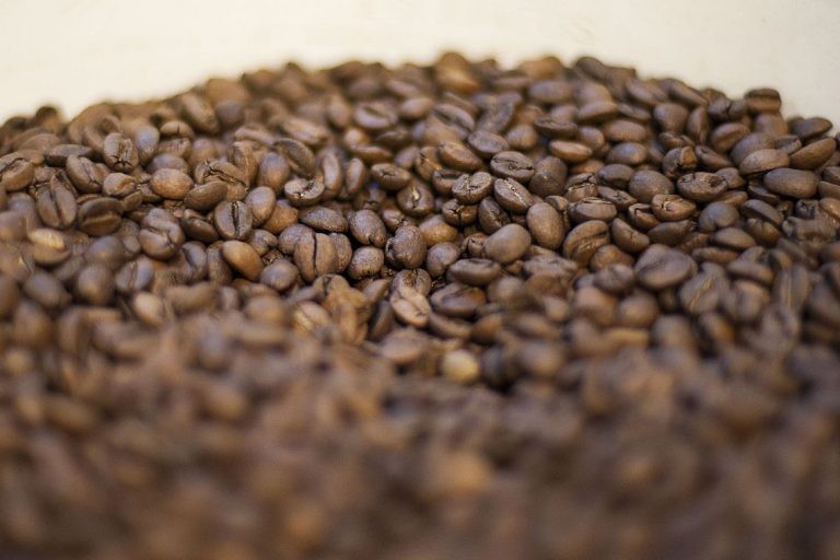 Governo vai estabelecer o Regulamento Técnico do Café Torrado - (Foto: Marcello Casal Jr/Agência Brasil)