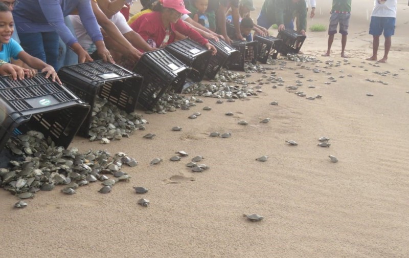 Foto: Reprodução/Secom Amazonas