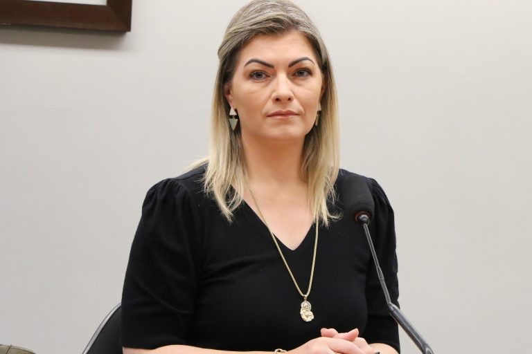 Aline Sleutjes: falta de sinalização nos veículos pode causar acidentes - (Foto: Wesley Amaral/Câmara dos Deputados)