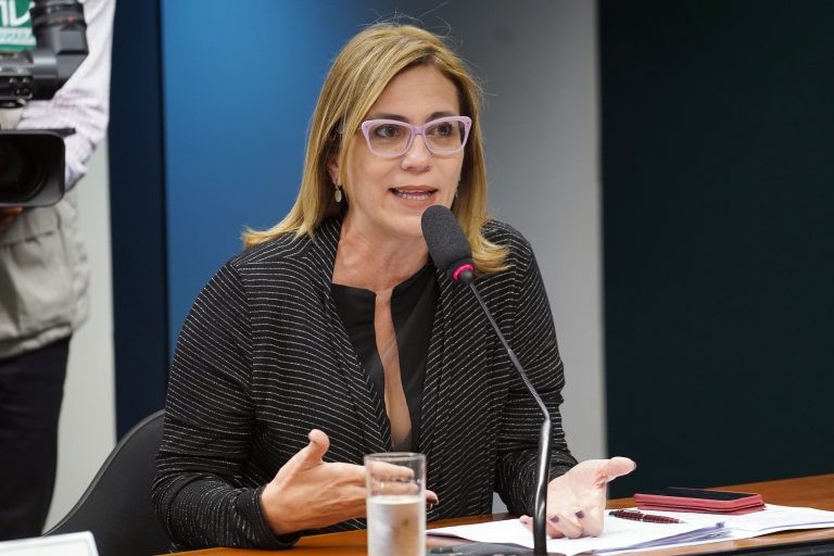 Rosana Valle: projeto vai por em prática orientações do Ministério da Saúde - (Foto: Pablo Valadares/Câmara dos Deputados)