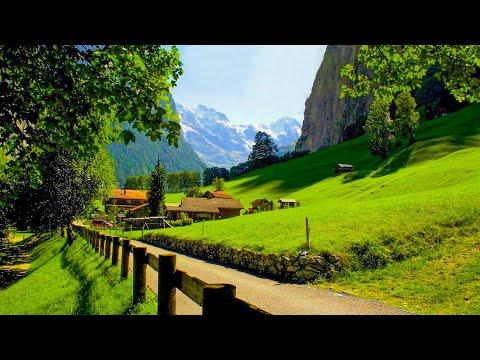 Música de cura suave para a saúde e acalmar o sistema nervoso, relaxamento profundo