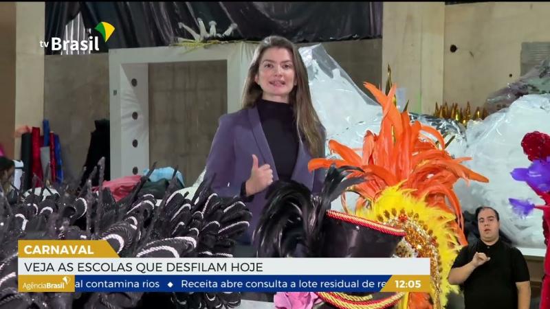 SP | Carnaval 2023: veja as escolas que desfilam